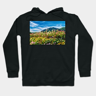 Flatirons And Flowers Hoodie